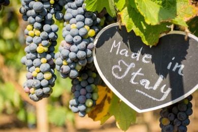 Vini italiani all’estero: quali sono i più famosi?