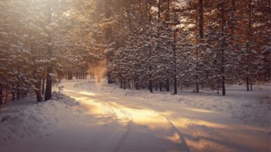 Profumi Invernali: 6 fragranze che sono un inno alla stagione fredda!