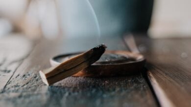 5 Profumi al Palo Santo che donano energia e benessere. Da provare!