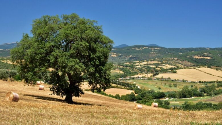 Un Borgo di una bellezza autentica nel cuore della Maremma Toscana