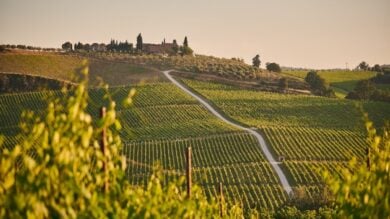 Questo borgo della Toscana è la culla del Chianti Classico. Un vero incanto medievale!