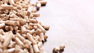 Pellet, acquista ora e risparmia d’Inverno: 3 buoni motivo per cogliere l’occasione subito!