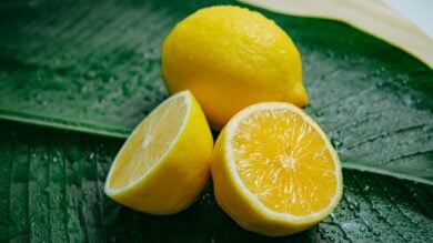 Note di limone: 5 profumi rinfrescanti ideali per l’estate