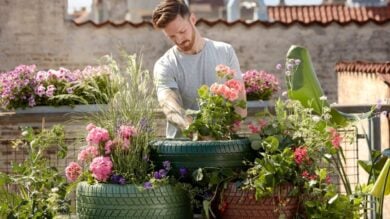 10 Accessori essenziali per la cura del Giardino