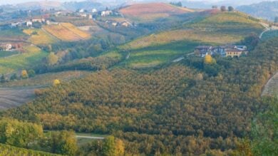 Siete amanti del vino? Ecco 3 Borghi italiani assolutamente da visitare!