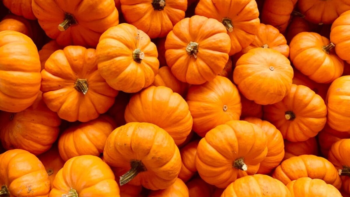 Skincare alla zucca: 5 trattamenti dal sapore autunnale assolutamente da provare