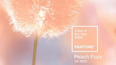 Make up Peach Fuzz: tutti i Prodotti da provare nel Pantone più cool del 2024