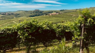 Langhe in Treno: un viaggio sulle rotaie tra i Borghi più pittoreschi del Piemonte