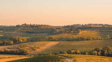 Borghi della Val di Merse: 4 posti incantevoli per una gita autunnale