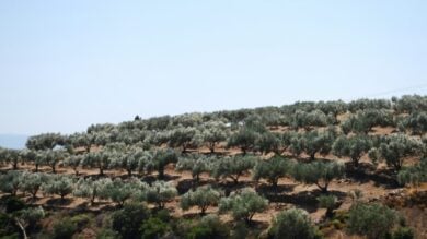 I Borghi della Puglia da visitare in autunno: ecco perché sono più belli ora…