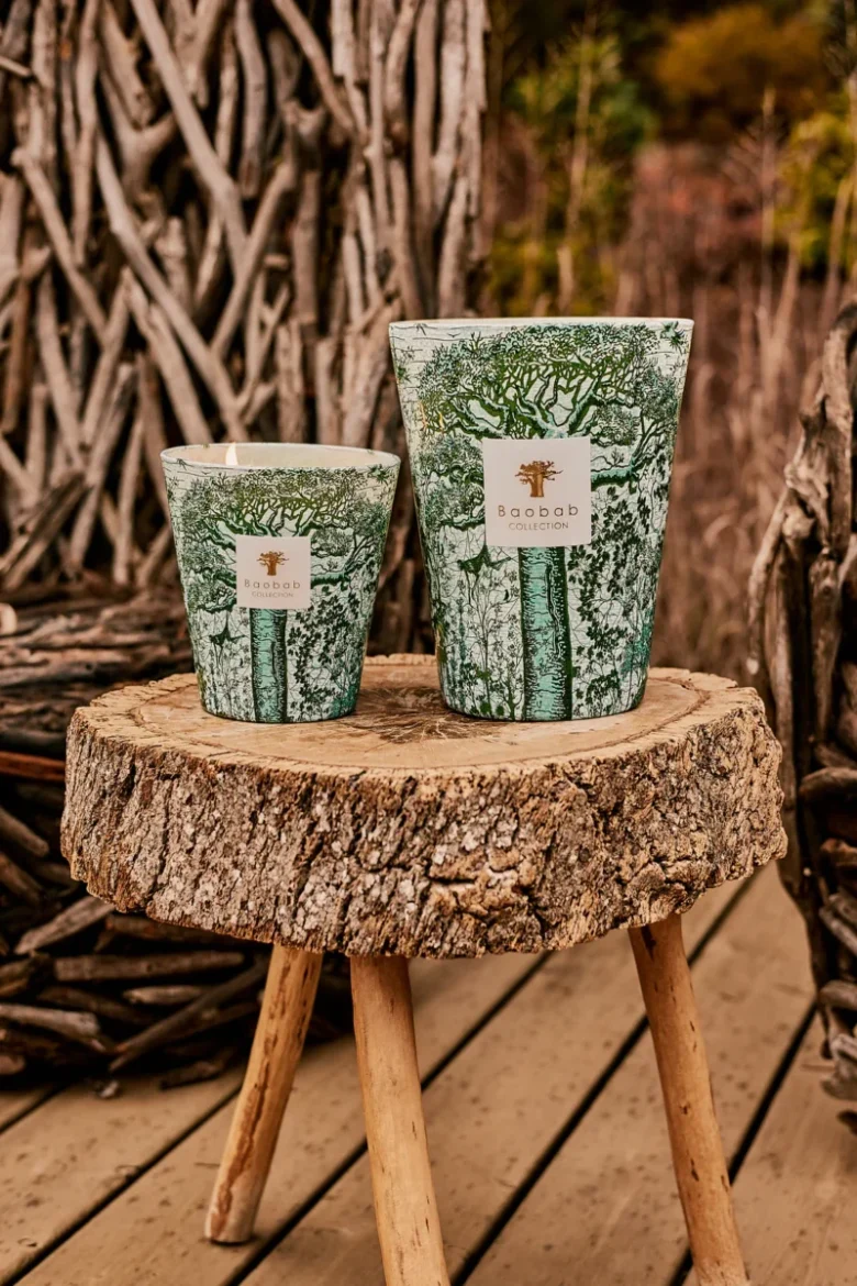 Baobab collection