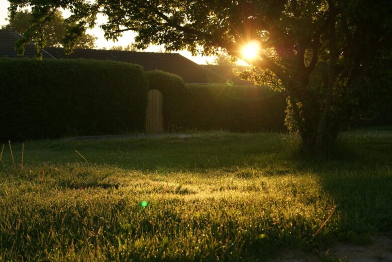 giardino soluzioni