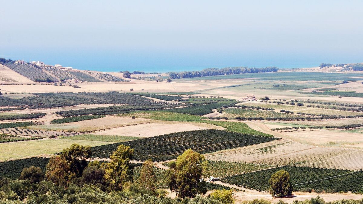 Valle del Belice, ecco 3 borghi siculi da visitare questa Estate…