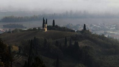 Colli Berici: 4 cose da fare e da vedere in questa splendida terra del Veneto