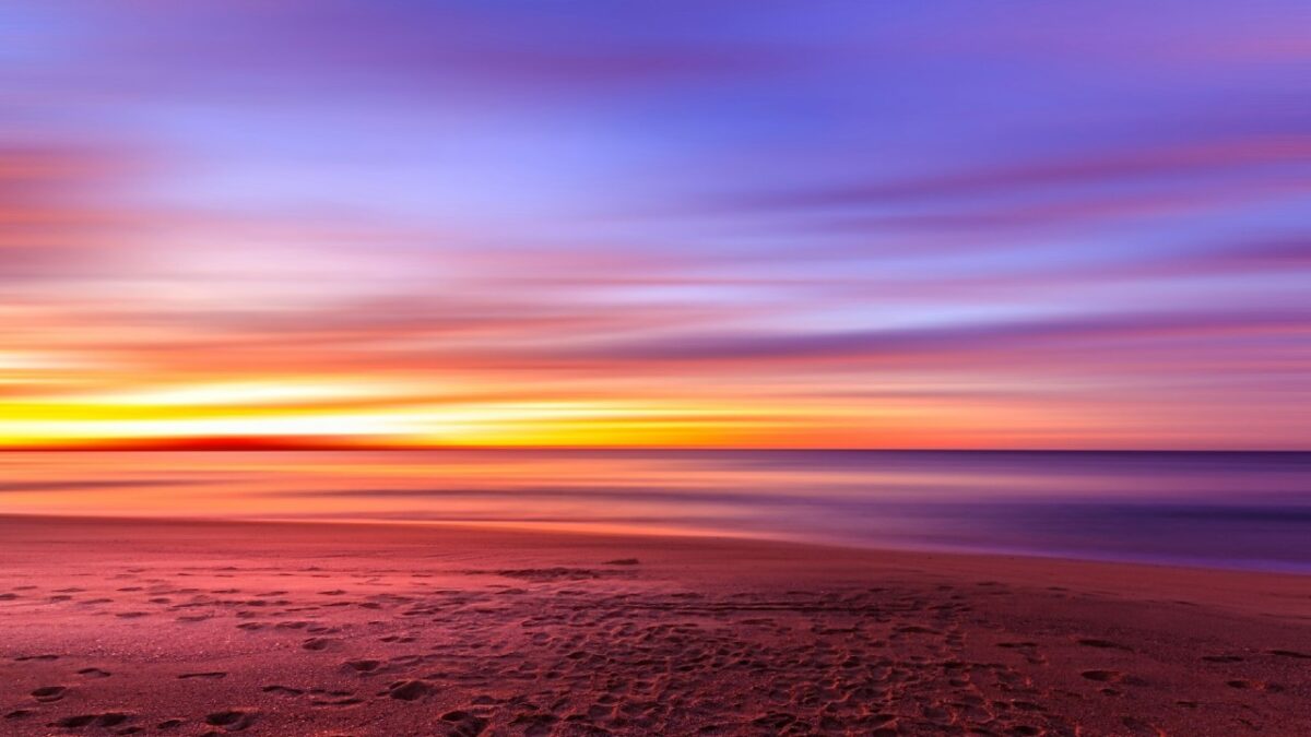 Video – Questi profumi ricordano un tramonto d’estate. Davvero poetici!