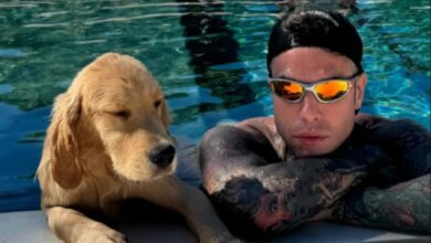 Fedez: che lusso la cuccia firmata Versace per il suo cane Silvio!