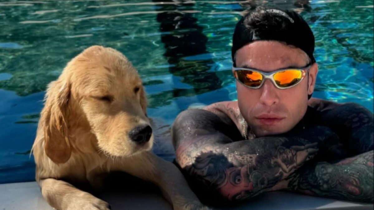 Video – Fedez: che lusso la cuccia firmata Versace per il suo cane Silvio!