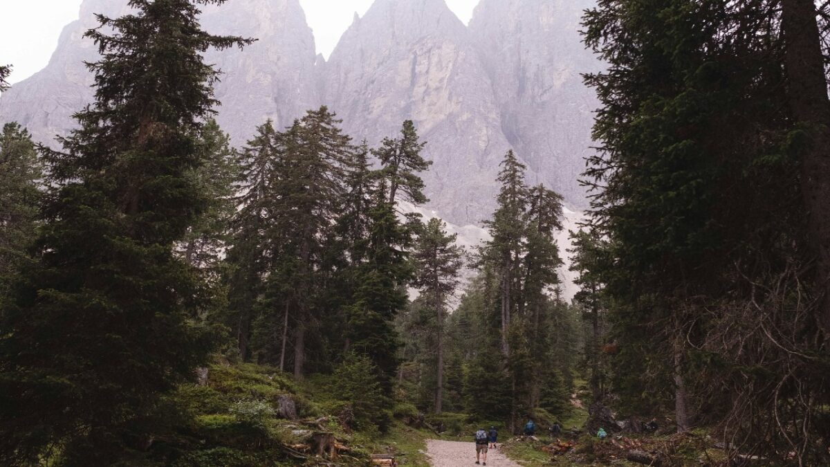 Val Noana: 4 cose da fare e da vedere in questo meraviglioso angolo del Trentino