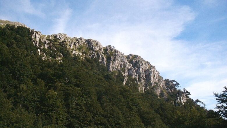 Questo borgo calabro ha una particolarità unica. Da non credere!