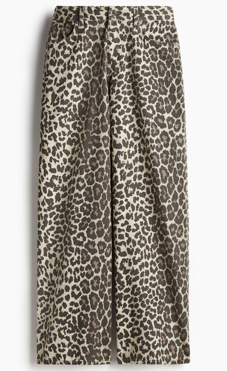 7 capi con stampa animalier firmati H&M da accaparrarsi ASAP!