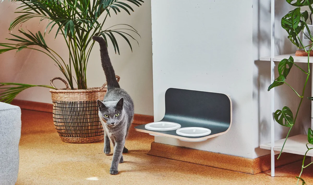 Pet Design: i brand che uniscono stile e comfort per i tuoi amici a quattro zampe