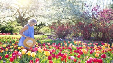 5 Profumi perfetti per la Primavera, sono un invito alla leggerezza…